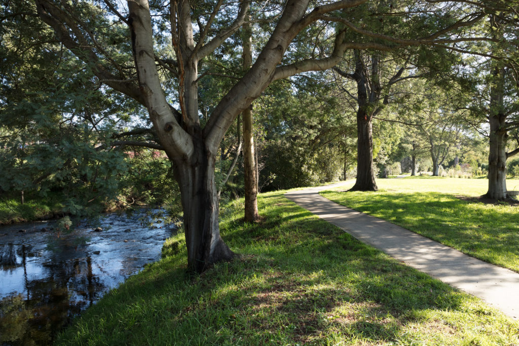 Geeveston Heritage Park Platypus Walk