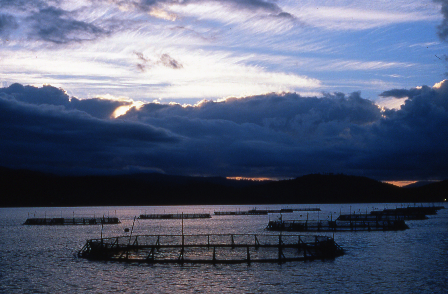 Huon River Salmon Farm