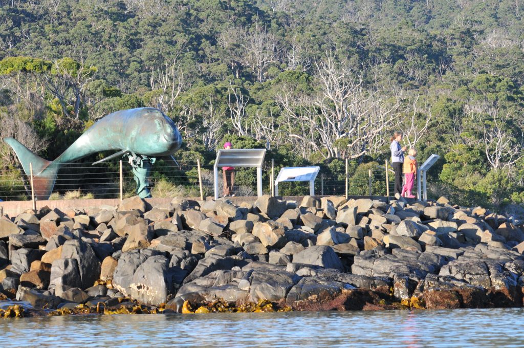 Cockle Creek foreshore, far Southern Tasmania