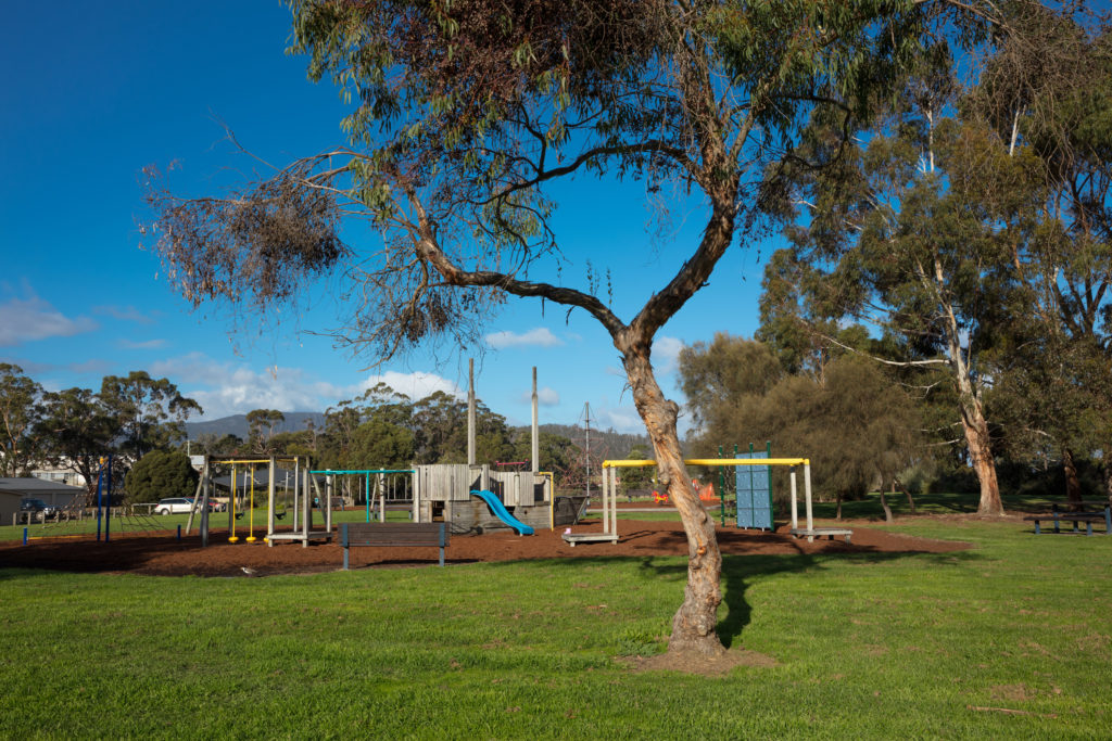 Cygnet Playground