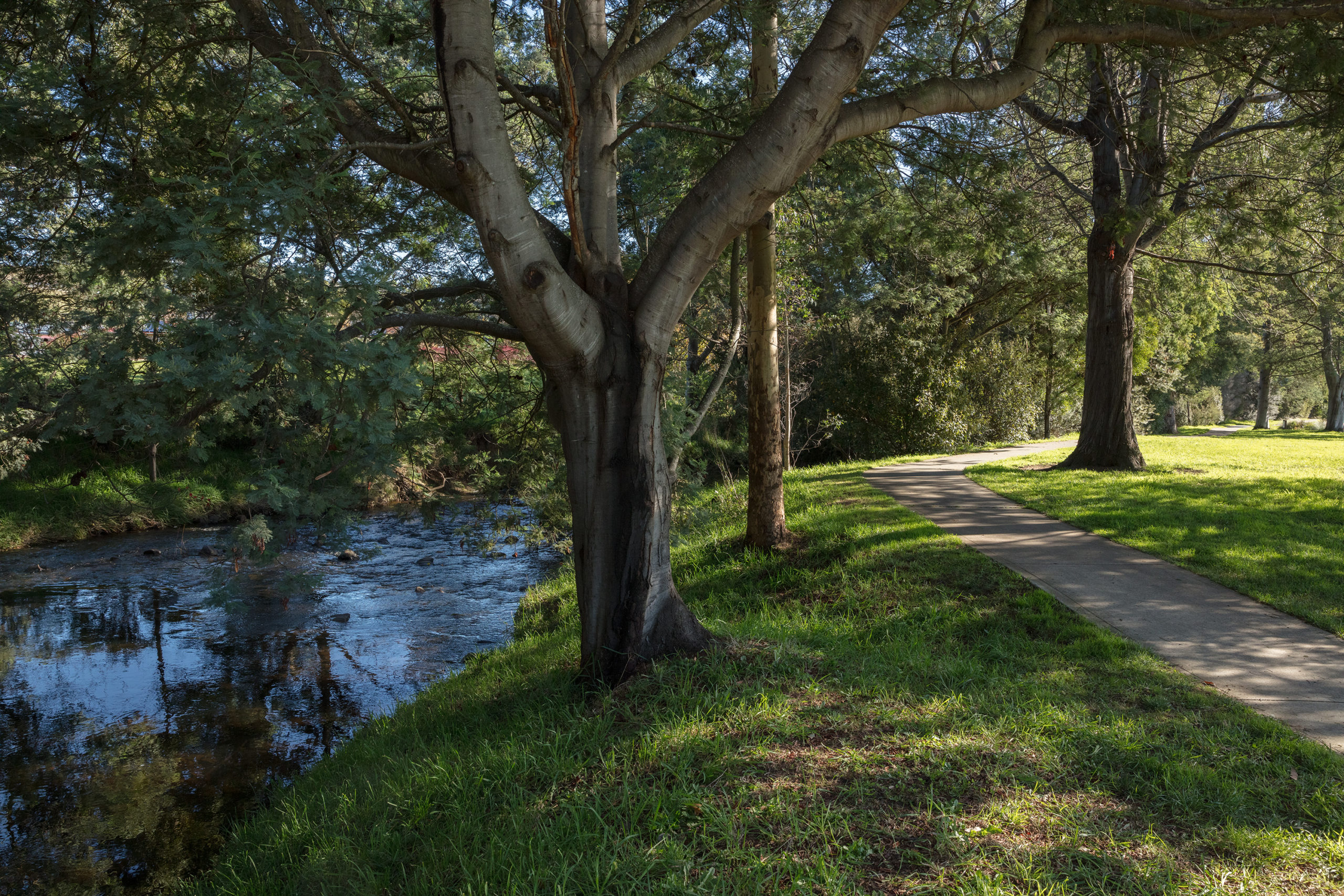 Geeveston Heritage Park Platypus walk