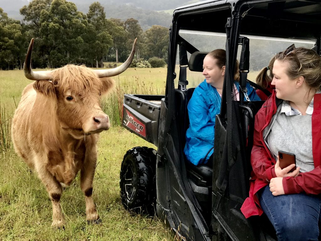 atv tours tasmania