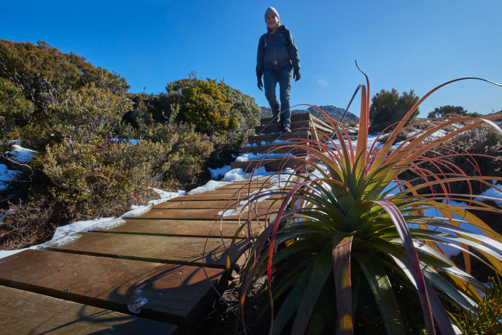 Hartz Mountain National Park