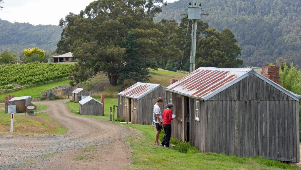 Hartzview Vineyard