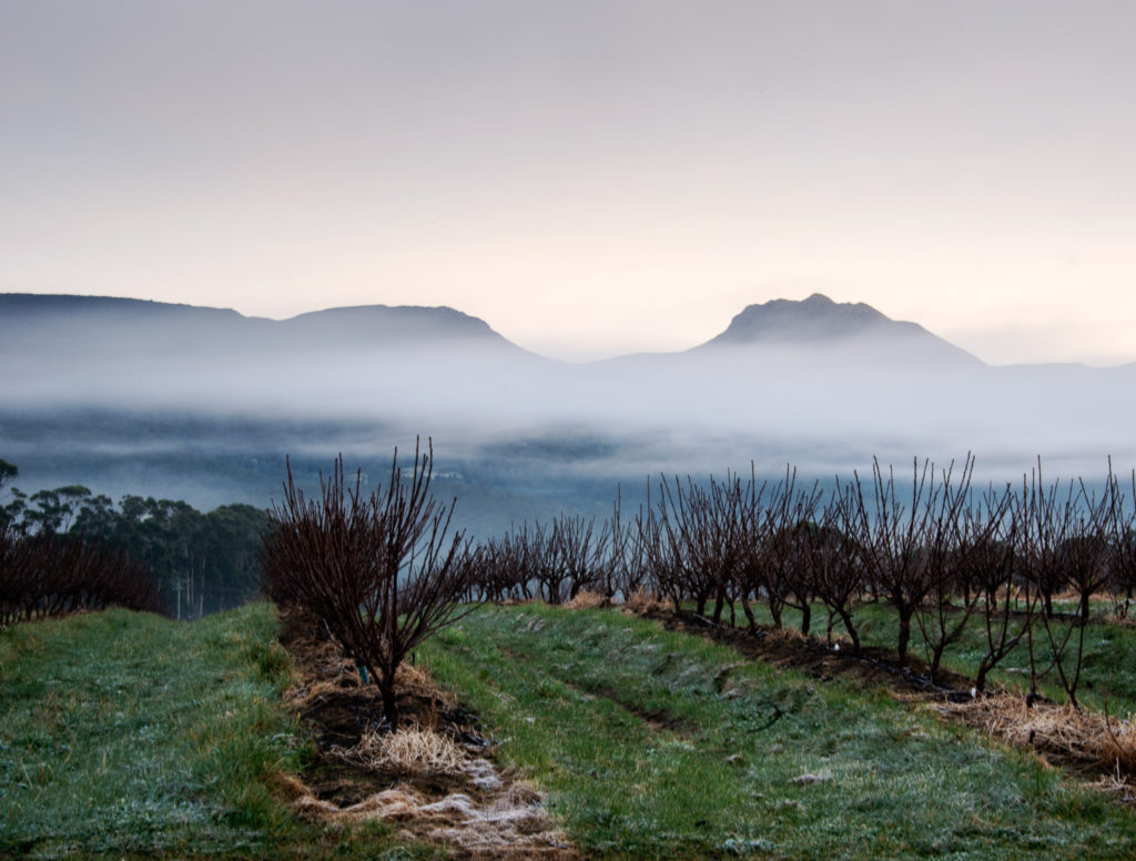 Sleeping Beauty, Southern Tasmania