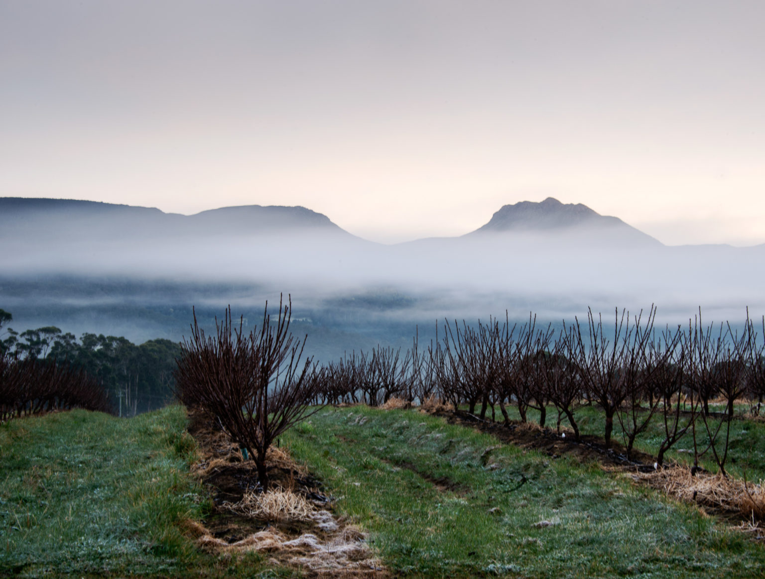 Things to do in the Huon Valley The Huon Valley Southern Tasmania Things to do in the Huon Valley The Huon Valley Southern Tasmania