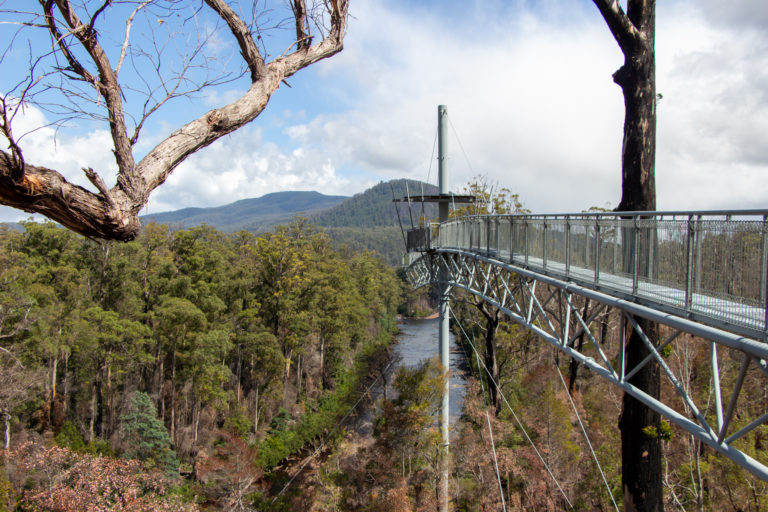 Things to do in the Huon Valley Southern Tasmania Things to do in the Huon Valley Southern Tasmania