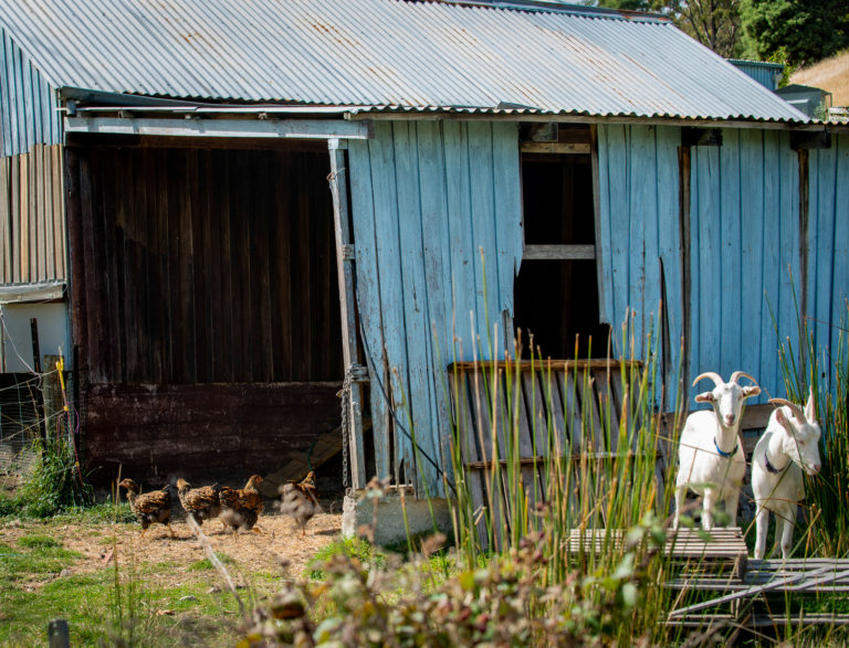 Best Place to Live in Tasmania The Huon Valley