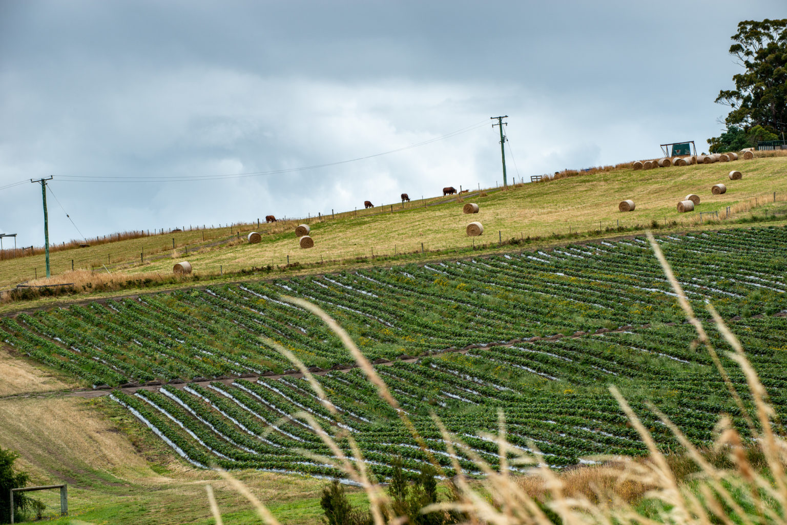 The Huon Valley Southern Tasmania