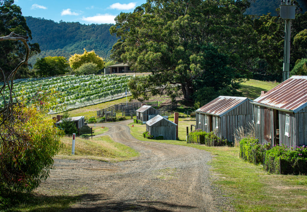 Timber Pickers' Huts, Southern Tasmania