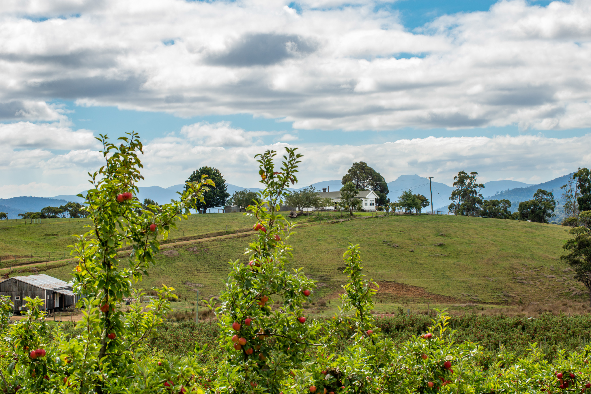 Huon Valley Scenery The Huon Valley Southern Tasmania
