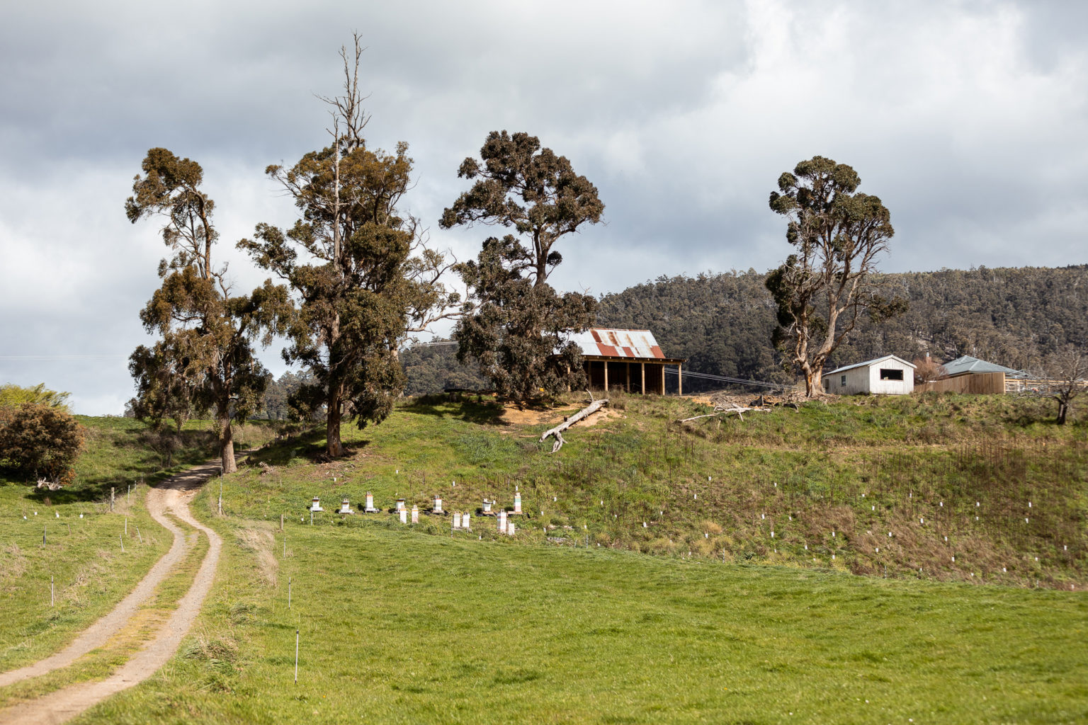 Glen Huon Dairy The Huon Valley Southern Tasmania
