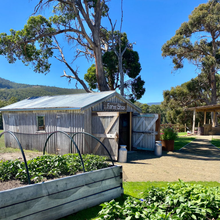 Glen Huon Dairy The Huon Valley Southern Tasmania