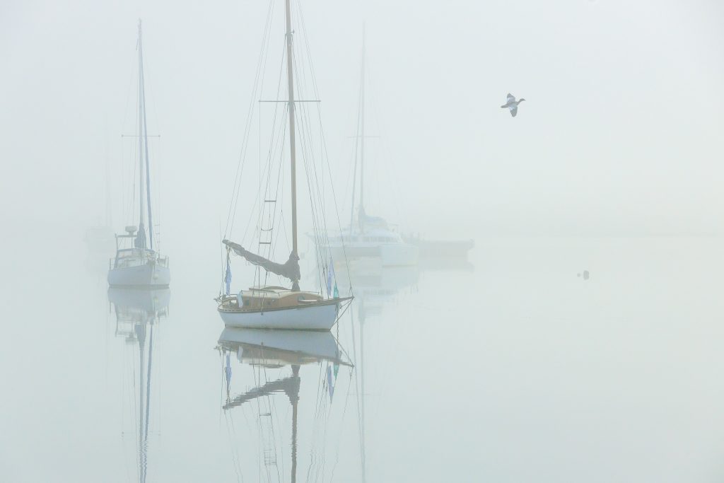 Huon River Winter Mist, Franklin, Tasmania.