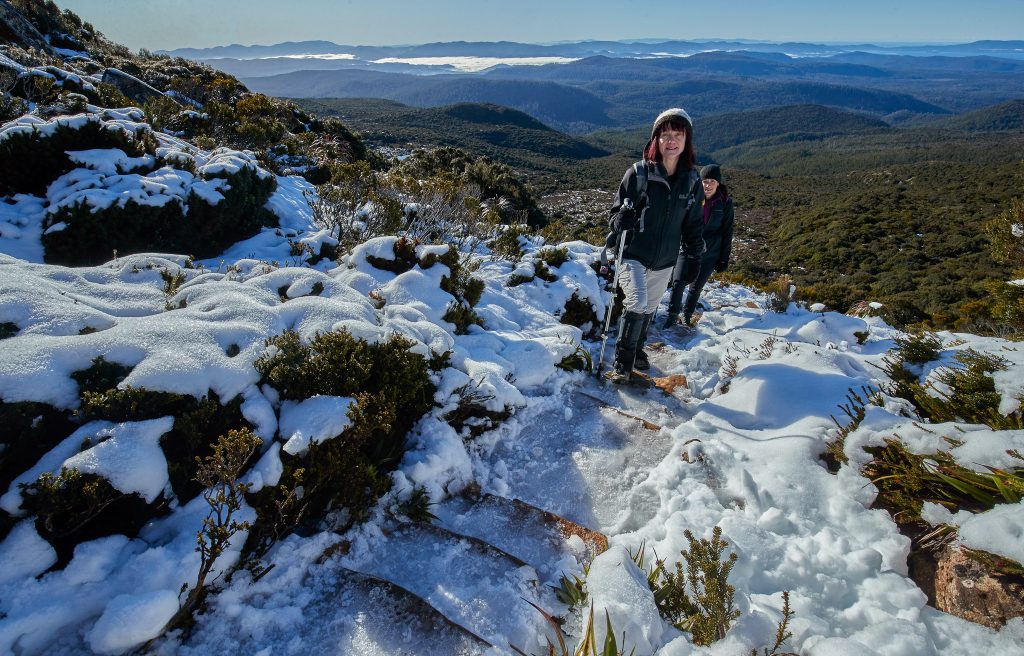 Hartz Peak Track with Winter snow, Hartz Mountains National Park, Tasmania